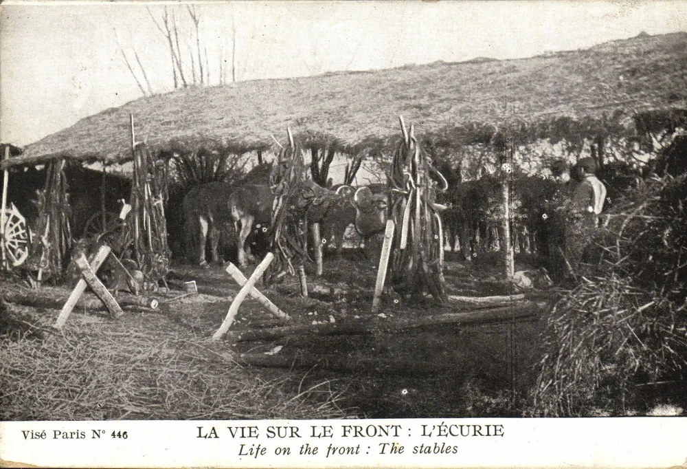 Das Leben an der Front: Die Stalle — Visé Paris Nr. 446 - Vorderseite