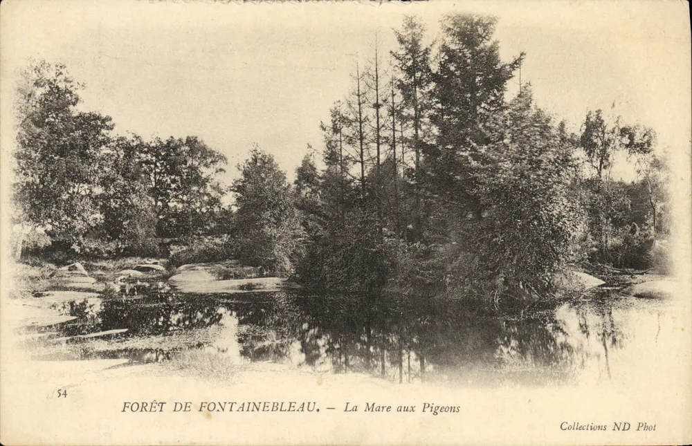 Floresta de Fontainebleau — Lago dos Pássaros — Collections ND Phot - Frente