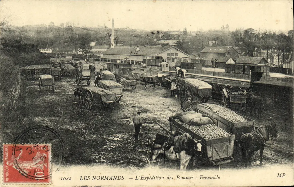 Les Normands — A Expedição das Maçãs — Conjunto - Frente
