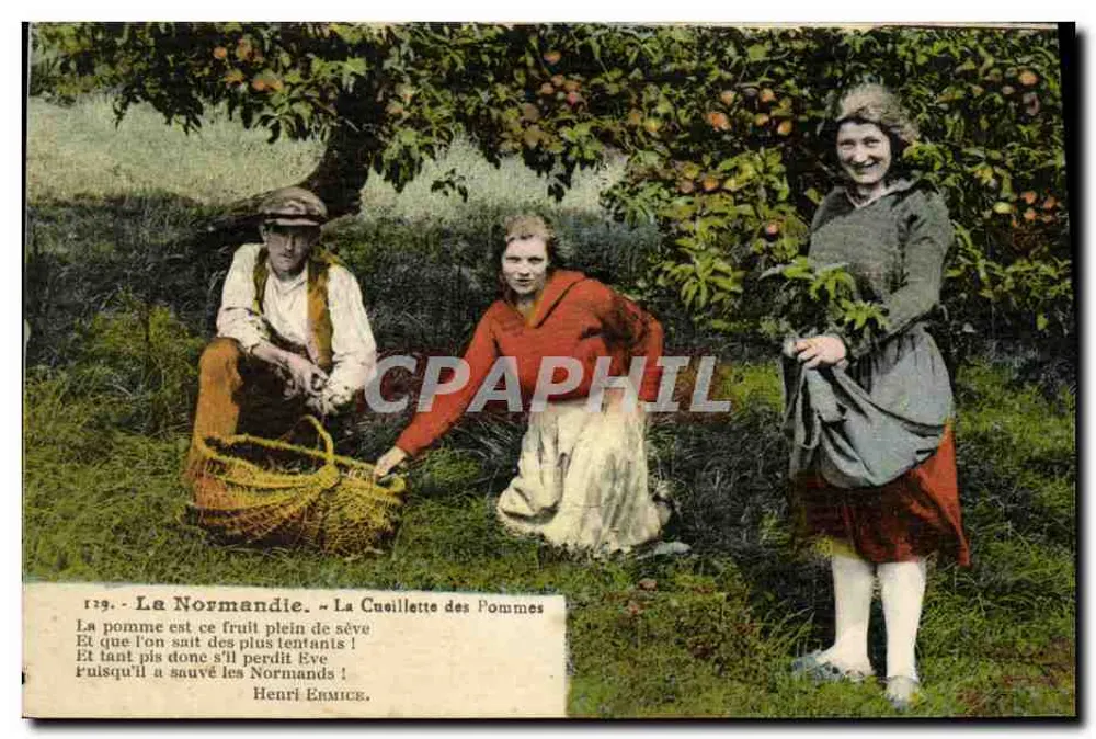 Normandie — Apfel-Ernte — Henri Ermice, n°179 - Vorderseite