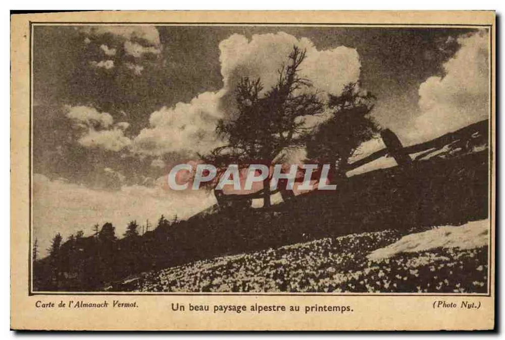 Alpine Landschaft im Frühling — Almanach Vermot — Photo Nyl. - Vorderseite