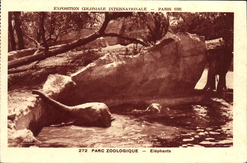 Zoo-Park — Elefanten — Internationale Kolonialausstellung — Paris 1931 - Vorderseite