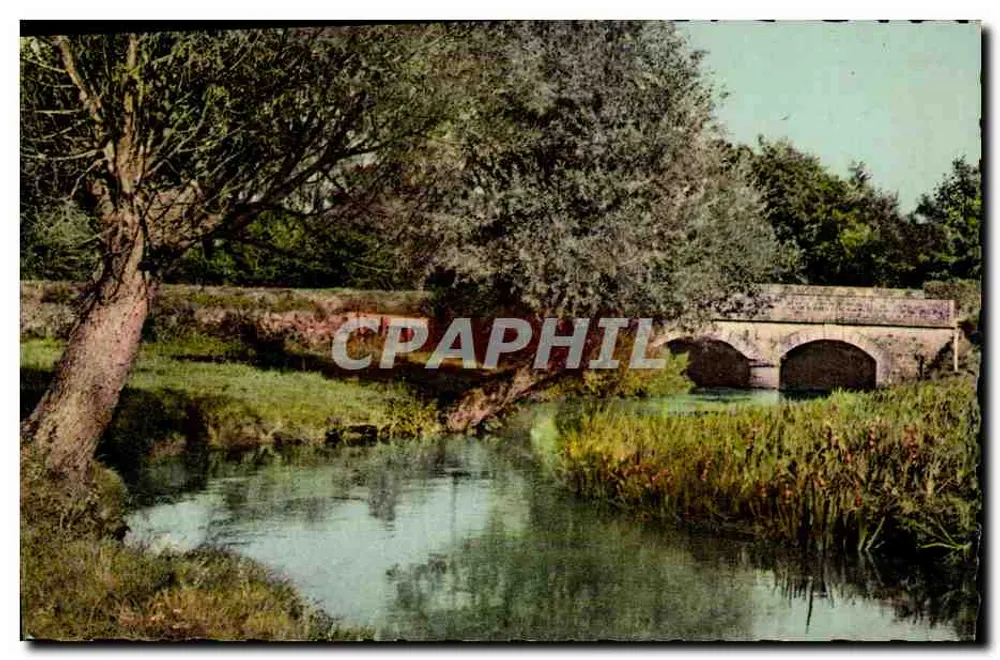 Nahe dem Alten Brücke — Normandie — Éditions Normandes LE GOUBEY - Vorderseite