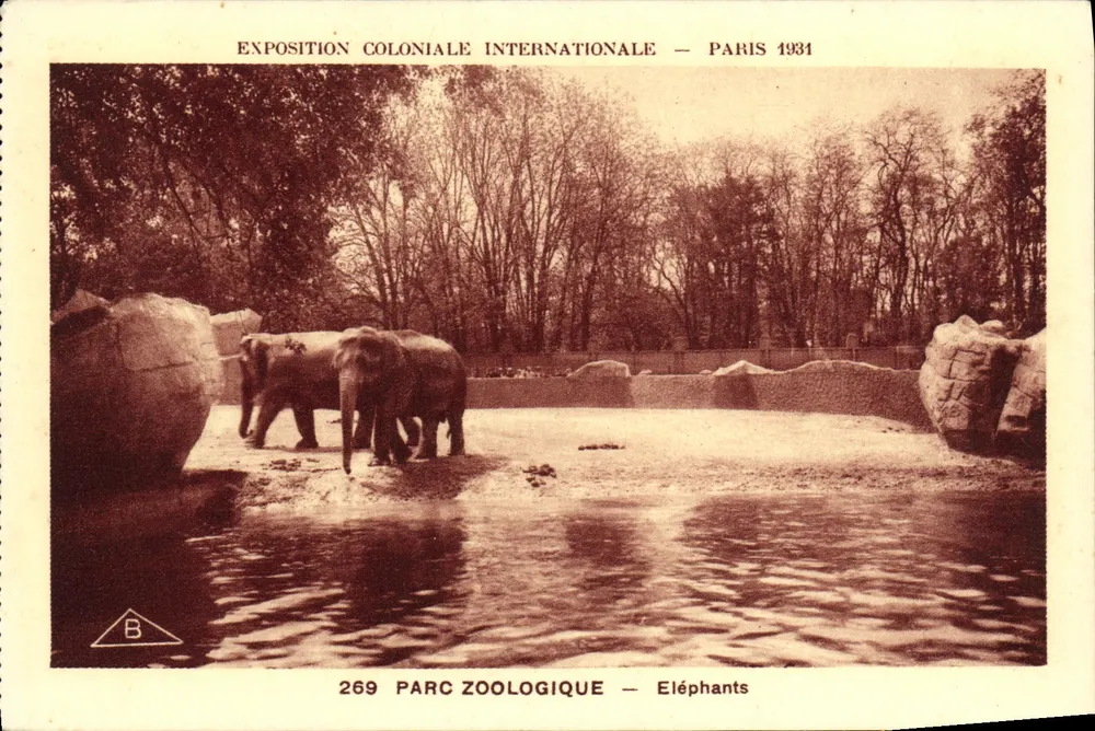 Zoo-Park — Elefanten — Internationale Kolonialausstellung — Paris 1931 - Vorderseite