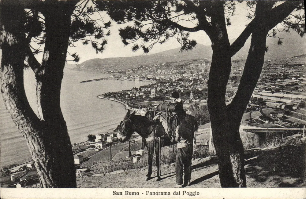 San Remo - Panorama do Poggio — vista de um promontório com um jumento e um homem — editor ALTERROCCA-TERNI XVI, n° 143578 - Frente