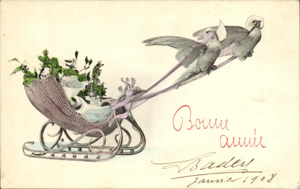 Sleigh trainato da uccelli — Buon anno 1908 — A.S. Serie 384 - Recto