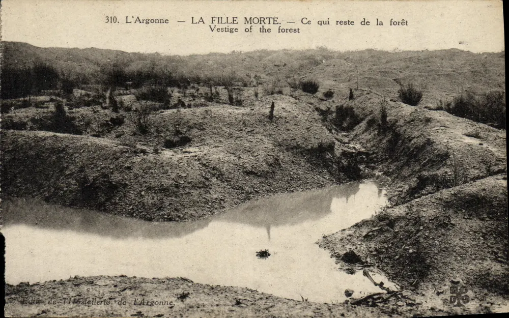Die Argonne — DAS TOTE MÄDCHEN. — Was von dem Wald übrig bleibt - Vorderseite