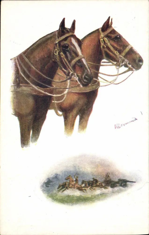 Dois cavalos montados — ilustração — Tuck's Post Card n° 8650 - Frente