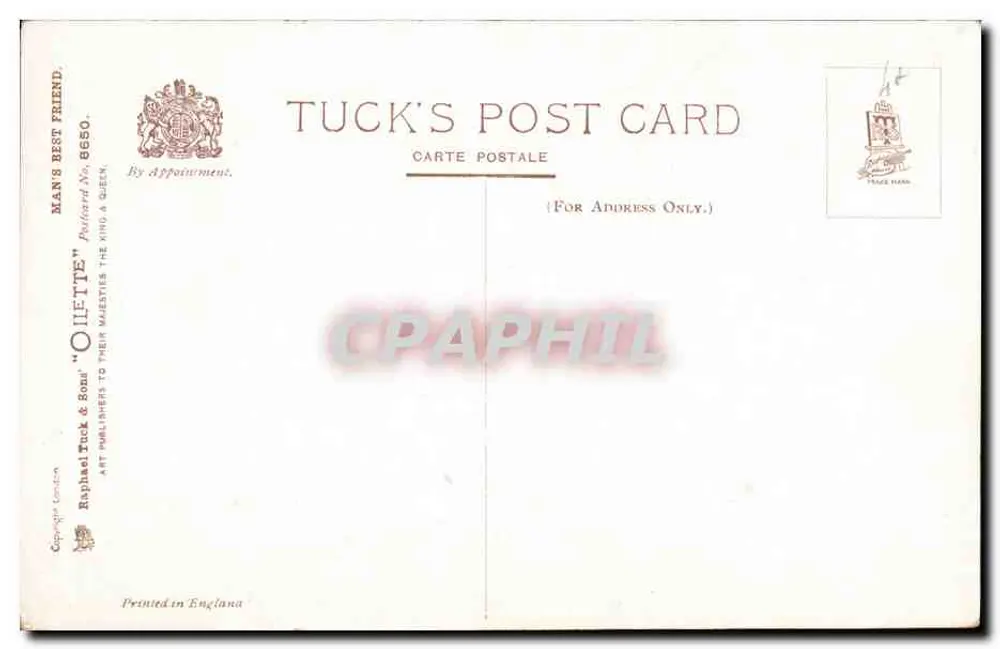 Dois cavalos montados — ilustração — Tuck's Post Card n° 8650 - Verso