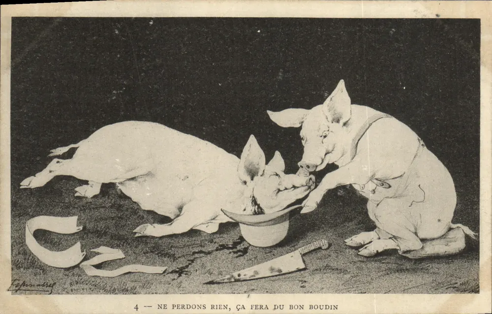 Dois porcos — caricatura humorística — Editor F. Fournadig, n°4 - Frente