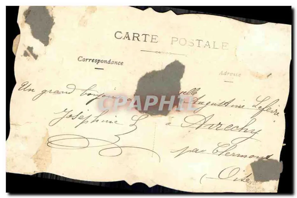 Fleur de rose et papillon — décor floral sur fond texturé — éditeur inconnu - Verso