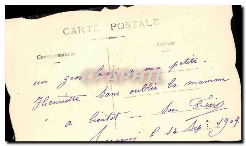 Pássaro azul e amarelo — 'A amizade é o perfume da vida' — editor desconhecido - Verso