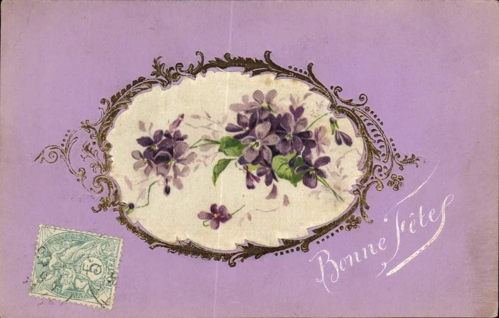 Violets — bouquet dans cadre ornemental — éditeur inconnu - Frente