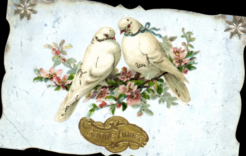 Duas pombas em galho florido — Boa Ano — Carta postal - Frente