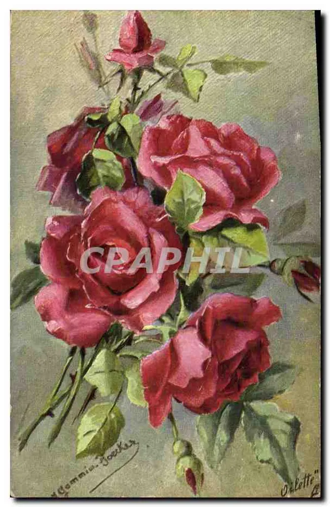 Arranjo de rosas — pintura a óleo — editor Tuck & Sons, série 'Oliette' - Frente