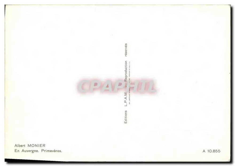 Primevères — Auvergne — Albert MONIER, n° A 10.855 - Verso