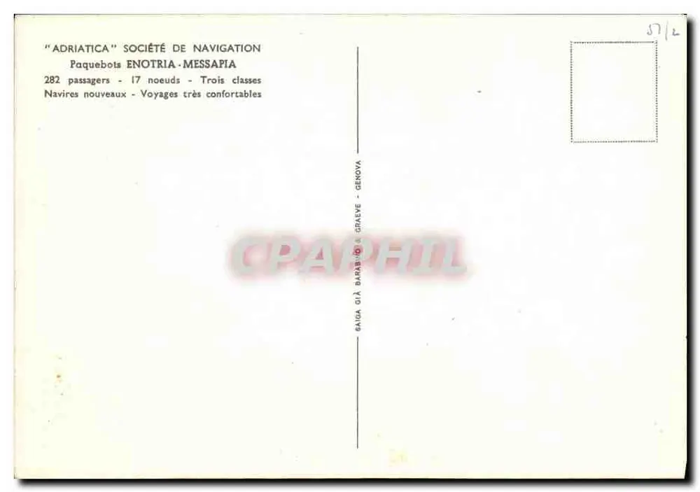 Dampfer Adriatica — Adriatica Navigation Company — Unbekannter Verlag, Seriennummer nicht sichtbar - Rückseite