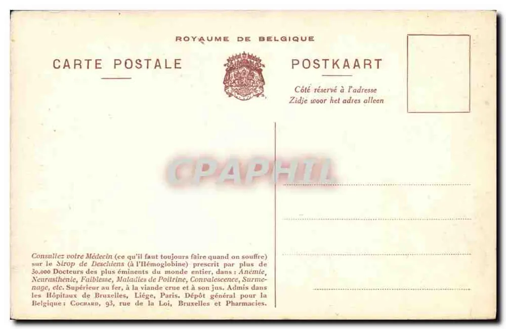 S.M. Albert I — König der Belgier — Heldische Belgien, N°1 - Rückseite