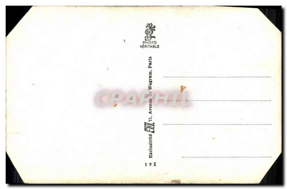डोमिनिक विल्म्स — स्टूडियो फोटो — लुसिन शेवर्ट, संख्या 530 - पीछे