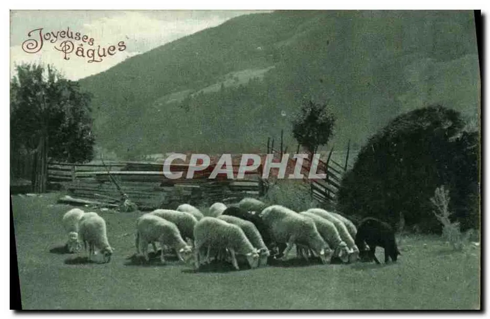 माउंटेन में चर बकरियां — पीछे की ओर पहाड़ — W.R.B. & Co. सीरीज 3139 - आगे