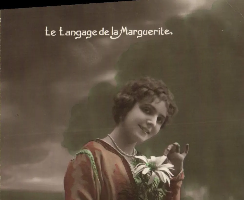 Die Sprache der Margerite — illustrierte Karte — In Frankreich hergestellt - Vorderseite