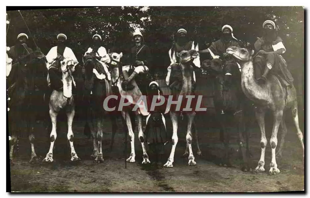 Grupo de cavaleiros em camelos — Editor não identificado - Frente