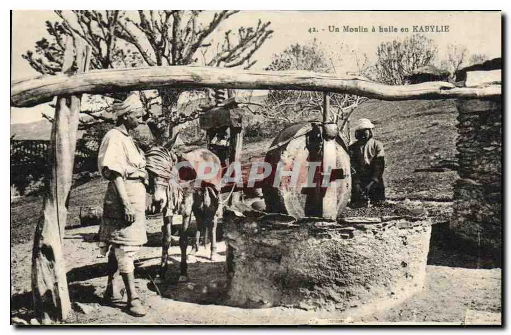 Ein Öl-Mühle in KABYLIE — n°43 — unbekannter Verleger - Vorderseite