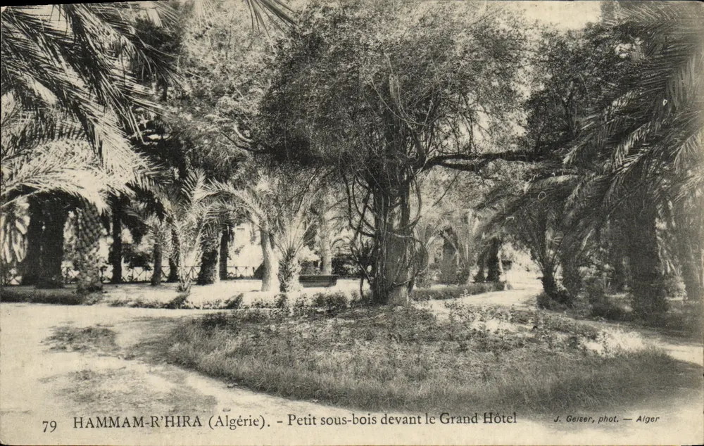 Hammam-R'Hira (Algerien) — Kleiner Hain vor dem Grand Hotel — J. Geiser, Fotografie — Alger - Vorderseite