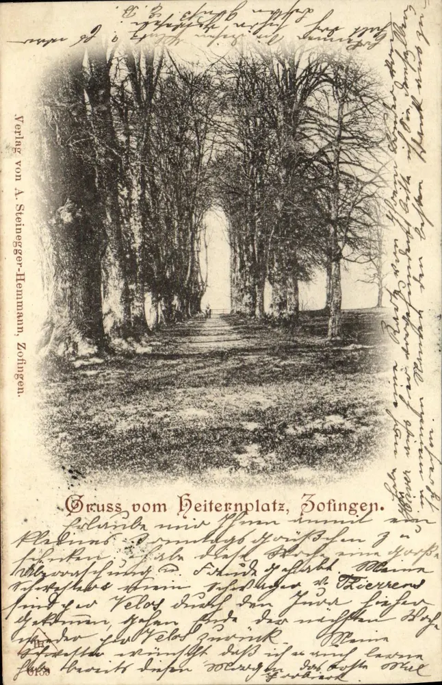 Heiternplatz — avenida con árboles desnudos — Verlag von A. Steinegger-Hemmann, Zofingen - Anverso