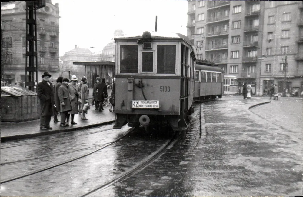 Tramway em Budapeste — linha 42, rua Tóth Árpád — tramway n°5103 - Frente