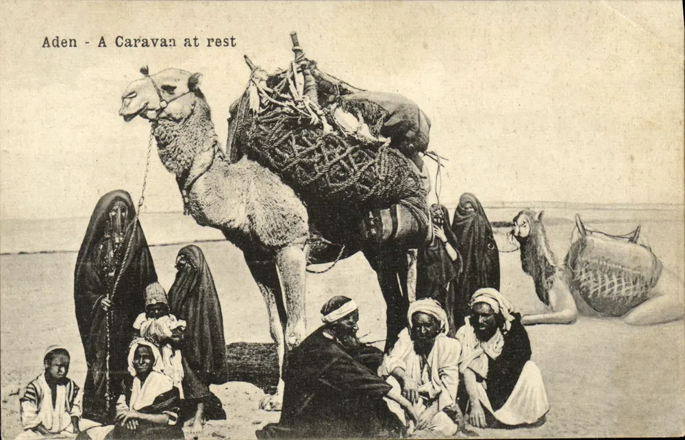 Aden - A Caravan at rest — Hôtel de l'Europe, I. Benghiat Son, n° 814 p - Recto