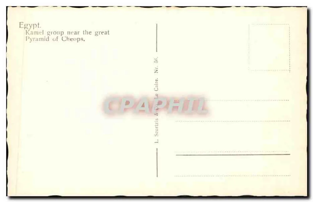 Grupo de camelos perto da grande pirâmide de Quéops — L. Scortzis & Cie, O Cairo, N° 56 - Verso