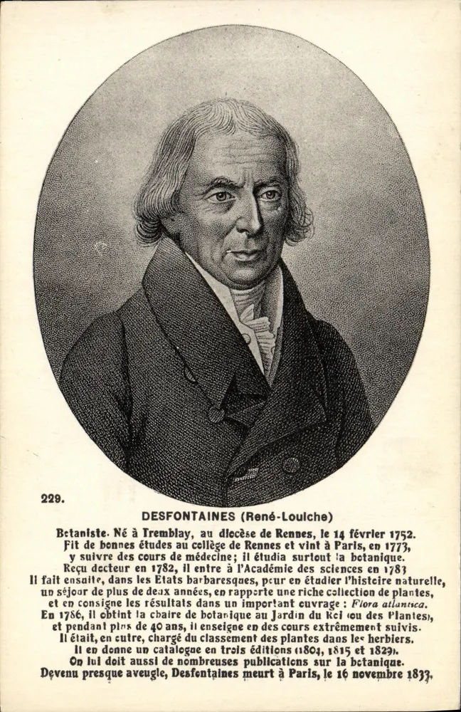 Desfontaines (René-Louche) — botânico, retrato gravado — F. Chapeau, editor Nantes, n° 229 - Frente