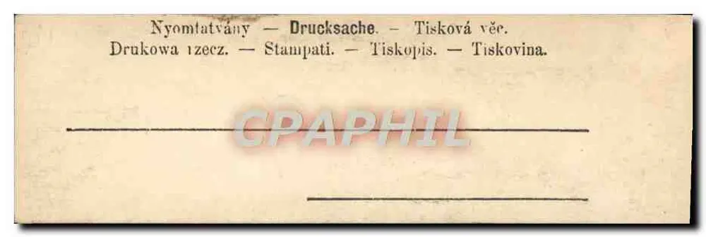 Frau in rosa und gelber Kleidung, die einen Taube hält — Studio-Karte — unbekannter Verlag - Rückseite