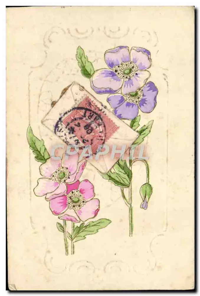 Fleurs de pavot — anémones roses et violettes — éditeur non visible - Frente