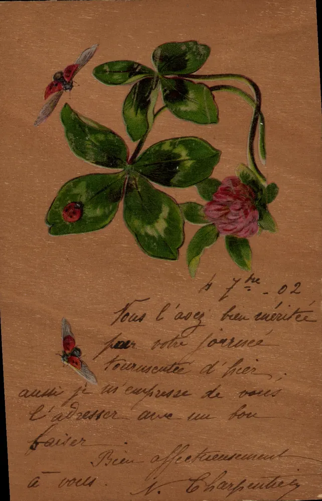Flores e insetos — ilustração — editor não visível - Frente