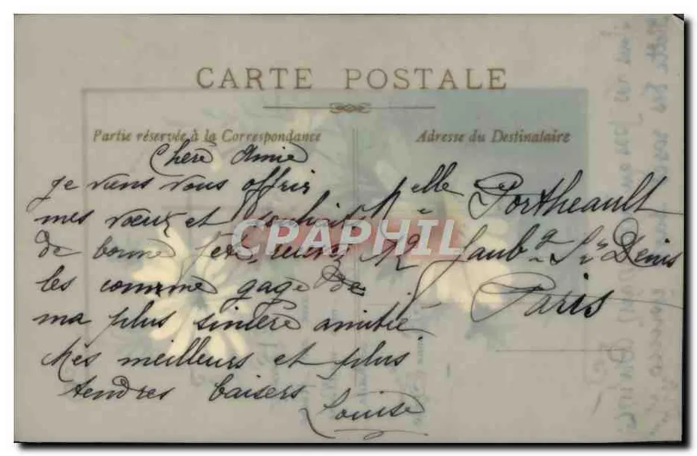 Flores de camomila — Carta postal de boas-vindas — Editor não identificado - Verso