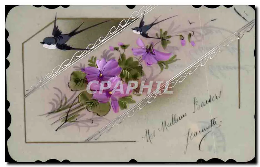 Aves e violetas — ilustração decorativa — editor não visível - Frente