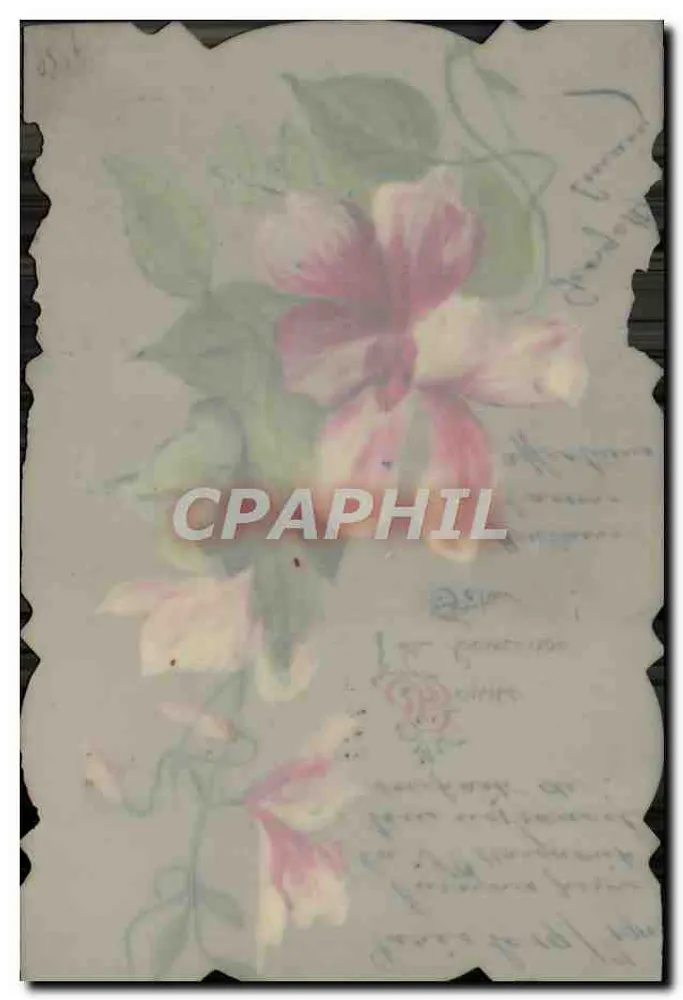 Flores de lis — carta postal pintada à mão — Paris, 1909 - Verso