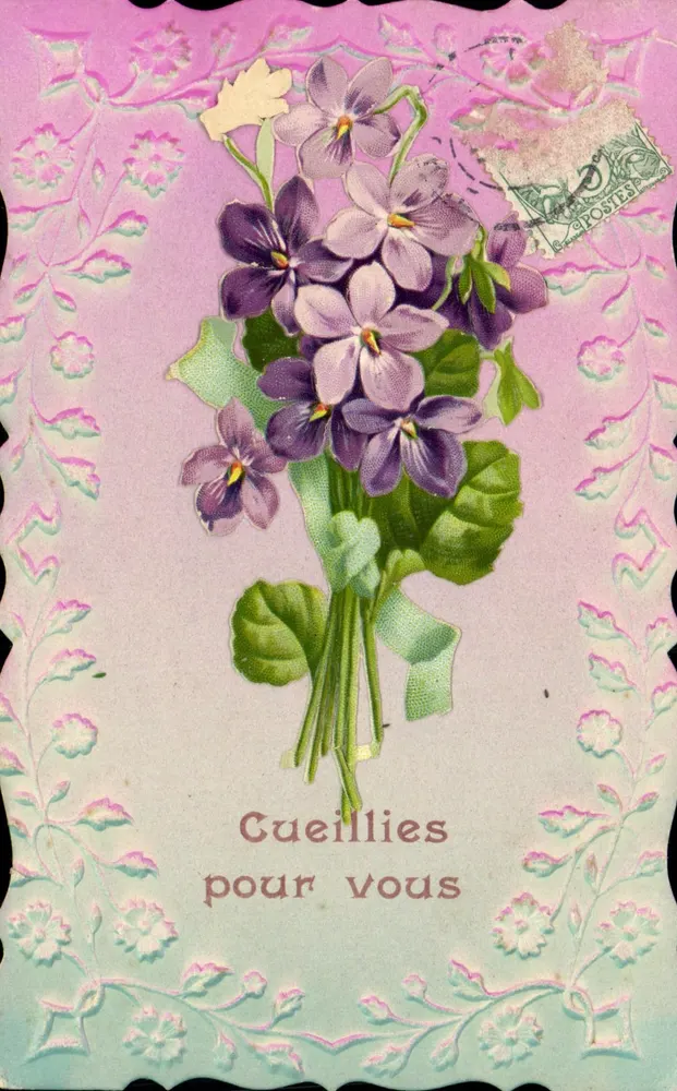 Mata de violetas — Cueilillies pour vous — editor desconhecido, número de série não visível - Frente