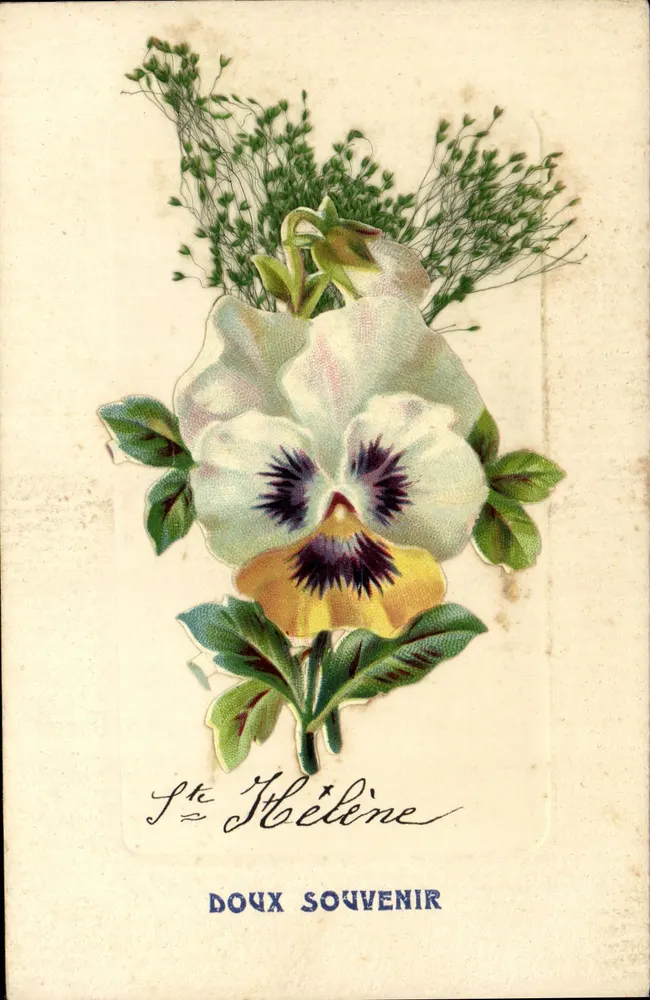 Pansée — Santa Hélène — Doce Lembrança - Frente