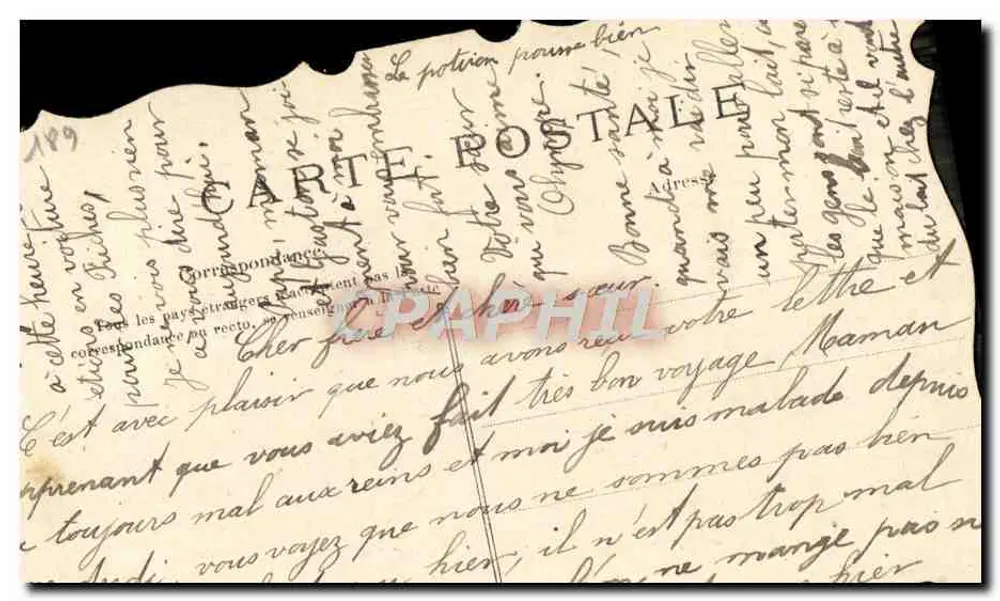 Bouquet de fleurs — composition florale avec marguerite et corolles — éditeur anonyme - Verso