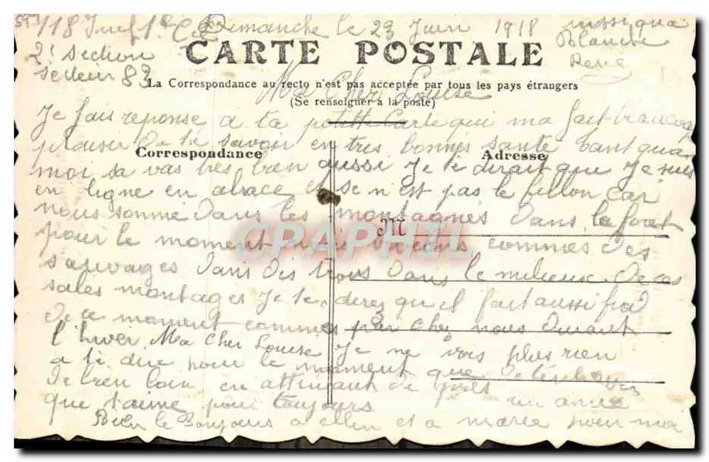 Pomba no meio de flores — texto manuscrito — Carta postal francesa - Verso