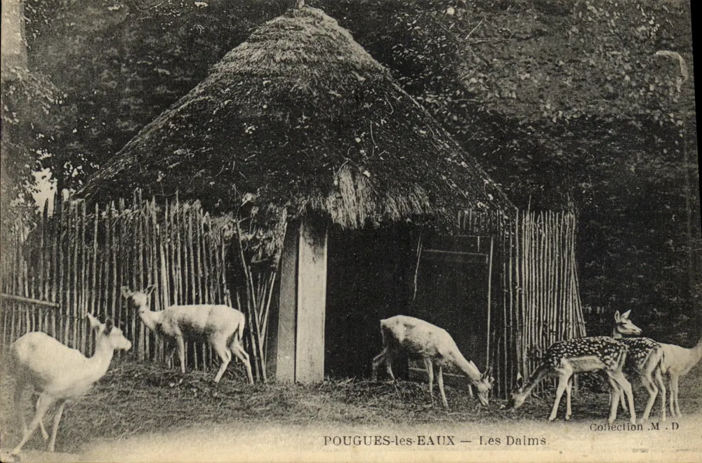 POUGUES-les-EAUX — Les Daims — Coleção M.D. - Frente