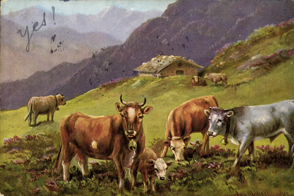 Vacas nas Alpes — paisagem montanhosa com cabana — editor desconhecido, série 228 - Frente