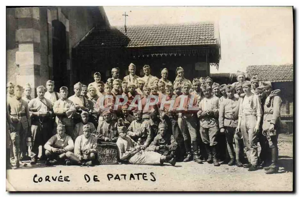 Trabalho de batatas — soldados em uniforme de campanha — sem editor ou número visível - Frente
