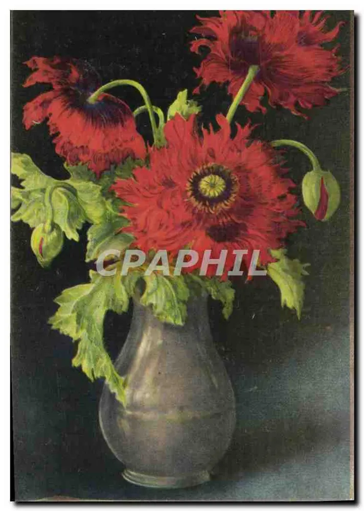 Flores de papoula — em um vaso metálico — editor não visível - Frente