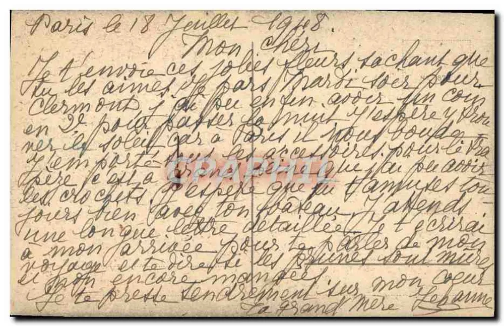 Flores de papoula — em um vaso metálico — editor não visível - Verso