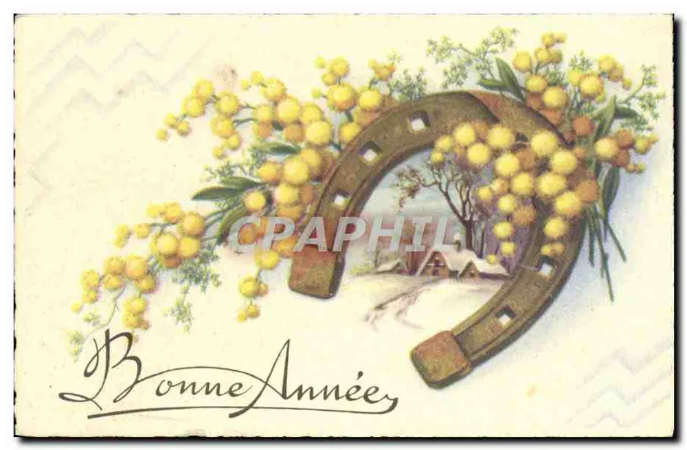 Cachoeira e mimosa — Boa Ano — M.D. Paris, série N°1500 - Frente