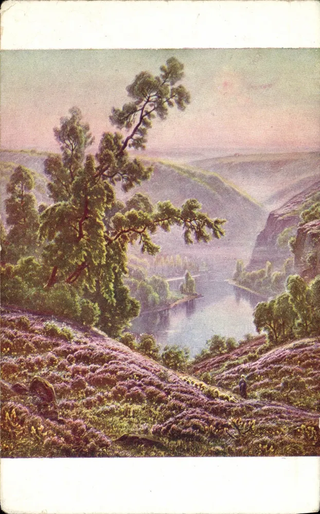 Briery in Bloom — Landschaftsansicht mit Fluss und Kiefern — Didier-Pouget, pinxit, Serie 562 - Vorderseite